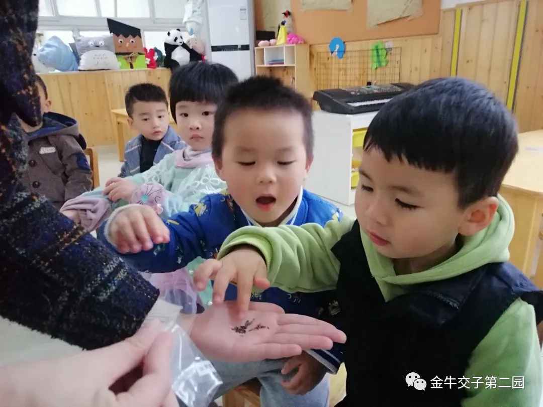 交子二园 种下希望，收获成长——交子二园植树节活动
