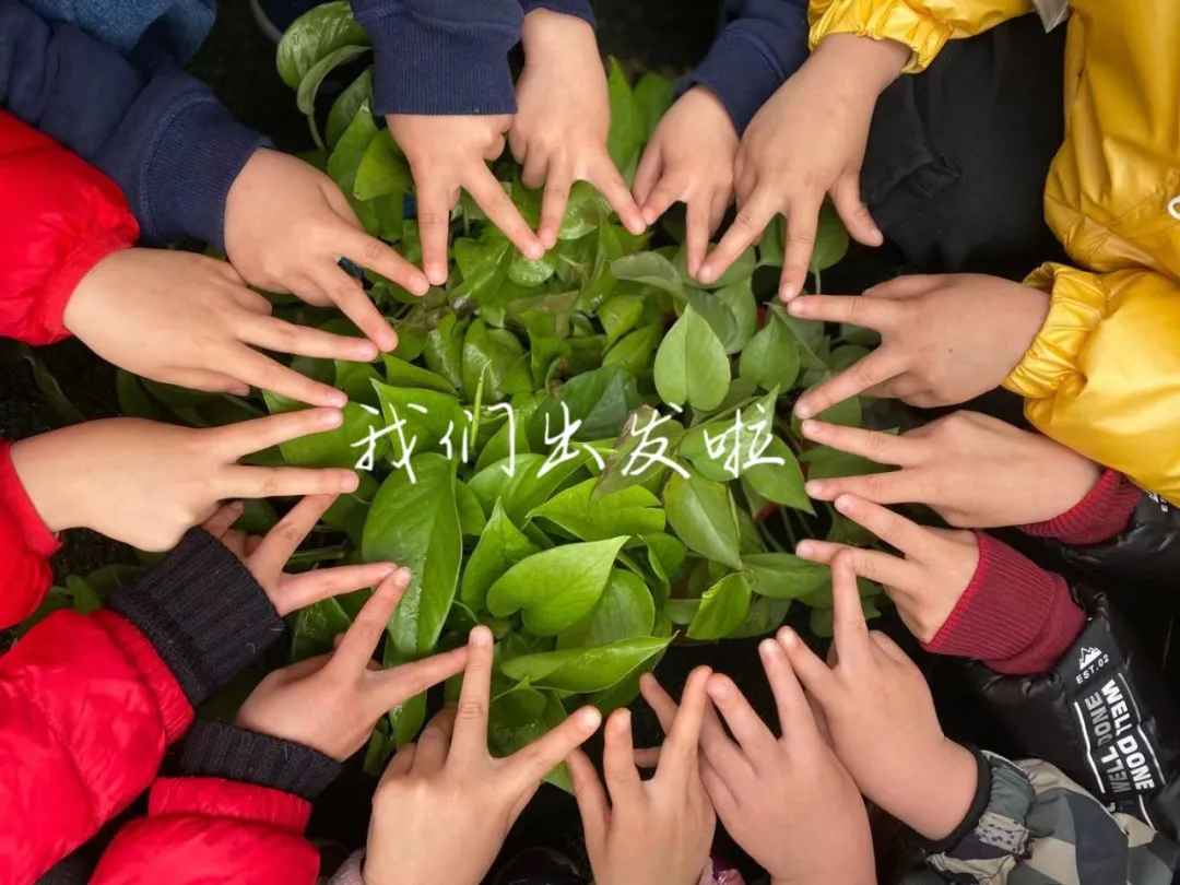 播种希望 守护绿色 成都市金牛交子幼儿园植树节主题活动